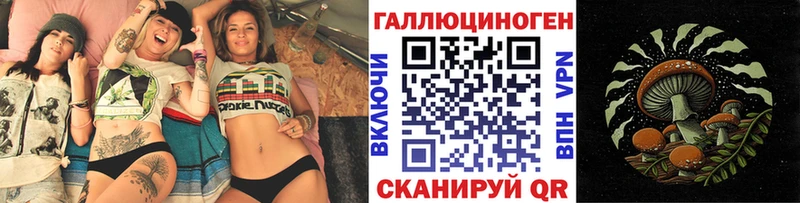 Галлюциногенные грибы Psilocybine cubensis  Первоуральск 